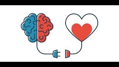 Neuroscience Behind Emotional Intelligence: How Our Brains Decide Our Actions!