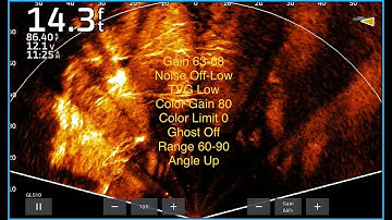 Garmin Livescope Perspective Mode: Deep Water Perspective Mode How I Use It And The Optimal Settings