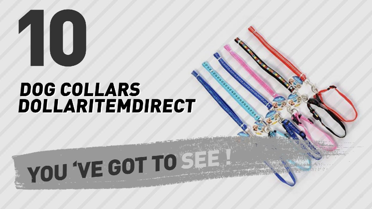 cats inn Dog Collars Dollaritemdirect // Top 10 Most Popular