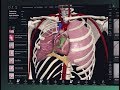 Getting started with complete anatomy