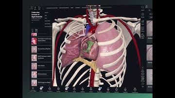 Getting Started with Complete Anatomy