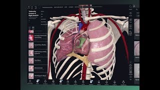 Getting Started with Complete Anatomy screenshot 5