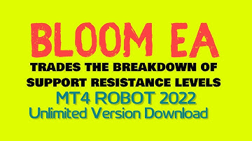 Bloom EA - Back-TEST & Unlimited Version Download