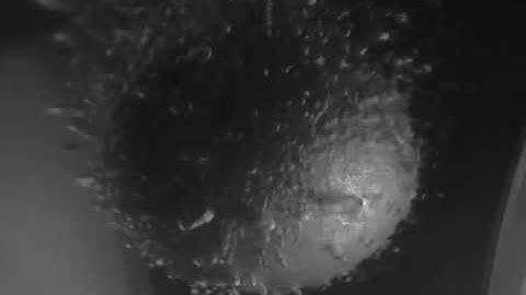 Boiling heat transfer experiment - Nucleate regime