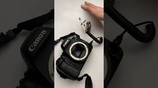 How to Build a Wildlife Camera Trap from Trash #shorts #diy #tech