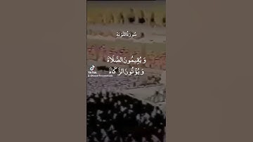 يأمرون بالمعروف وينهون عن المنكر | القارىء علي جابر | سورة التوبة