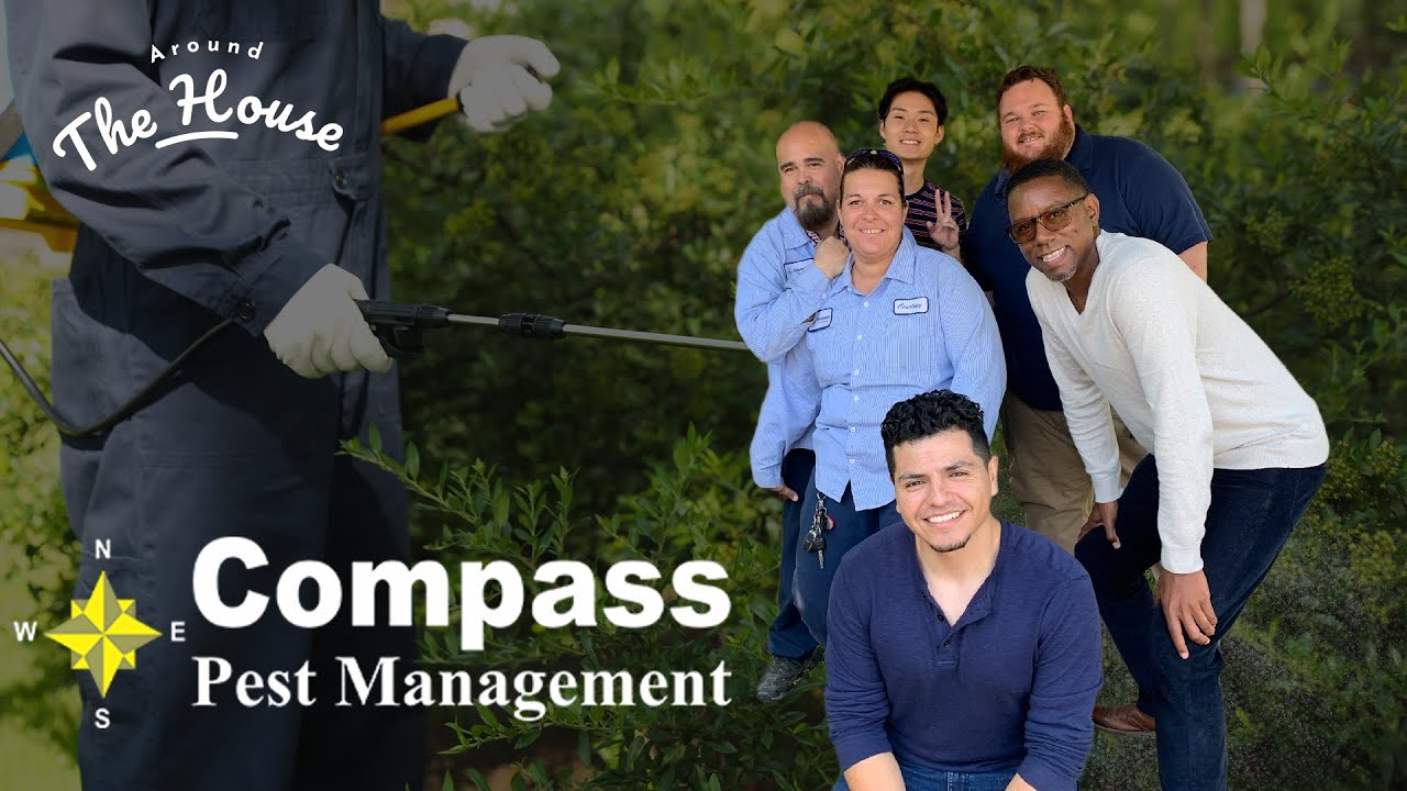 Compass Pest Management YouTube