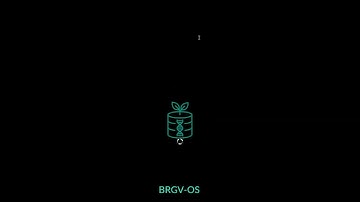 BRGV-OS on LVM on LUKS (not full encrypt)
