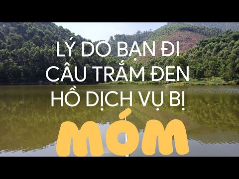 #1 Vì sao Câu Trắm Đen Hồ Dịch Vụ bị M.Ó.M? Cách để "Cắt M.ó.m" thành công và Quấn Ổ rực rỡ. Mới Nhất