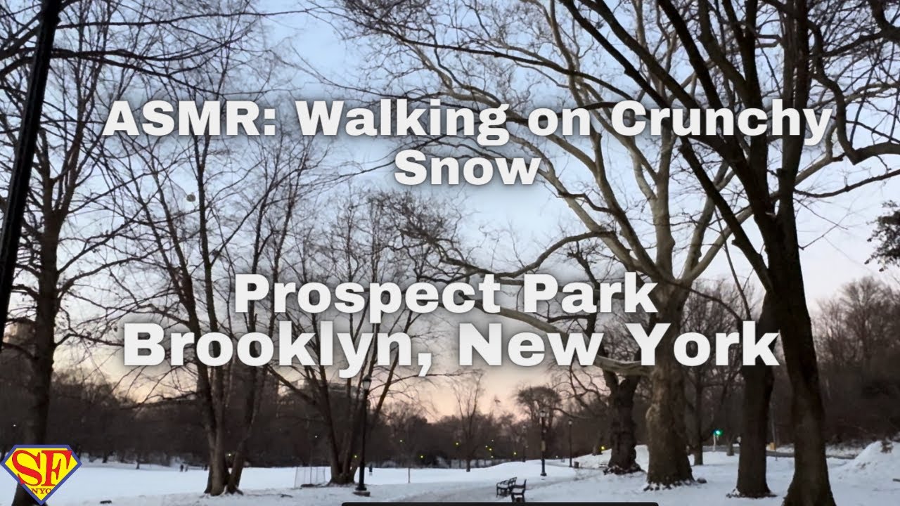 Snow Walk in Prospect Park Brooklyn, New York • Winter Walking Tour ...