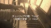 ネタ てんしとあくま チューリップ おもしろ荘 Youtube