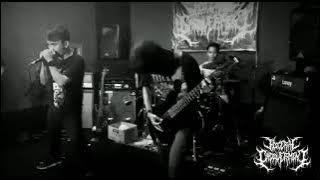 Visceral Cadaverment - Devastating Pounding In The Vagina Hole (Live At Seven Fest 2021)