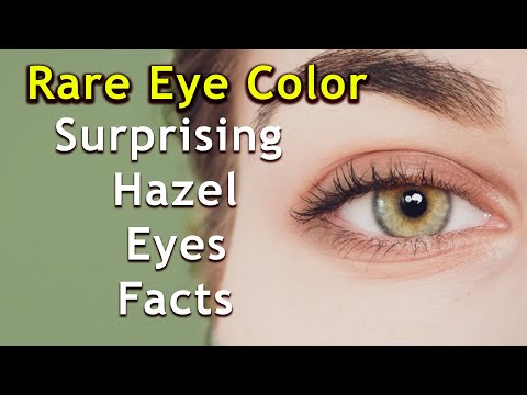 Video: The most unusual colors. Name of unusual flowers, photo. The most unusual eye color