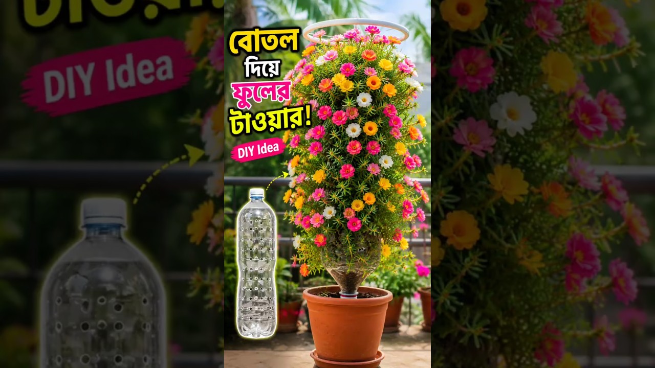 ফেলে দেওয়া বোতলেই বানান ফুলের টাওয়ার! 🌸 DIY Garden Idea #MossRose #FlowerTower #Gardening