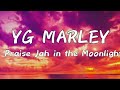 praise Jah in the moonlight lyrics ~Yg Marley