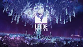 Neuron - Roots