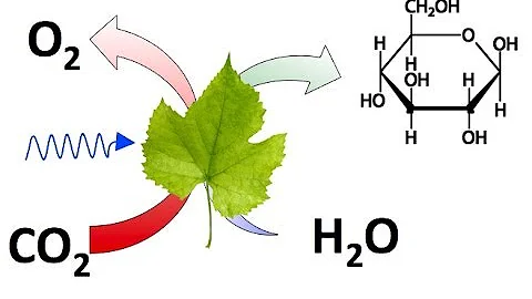 ¿Qué industria emite más CO2?