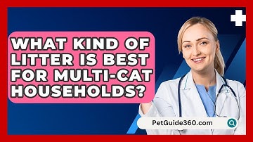 What Kind of Litter Is Best for Multi-Cat Households? - PetGuide360.com
