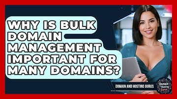Why Is Bulk Domain Management Important For Many Domains? - Domain And Hosting Gurus