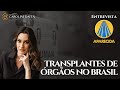 Transplantes são seguros no Brasil? | TJ Aparecida