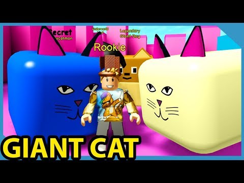 The Owner Gave Me The Giant Cat Pet In Roblox Candy Simulator Youtube - roblox candy simulator youtube