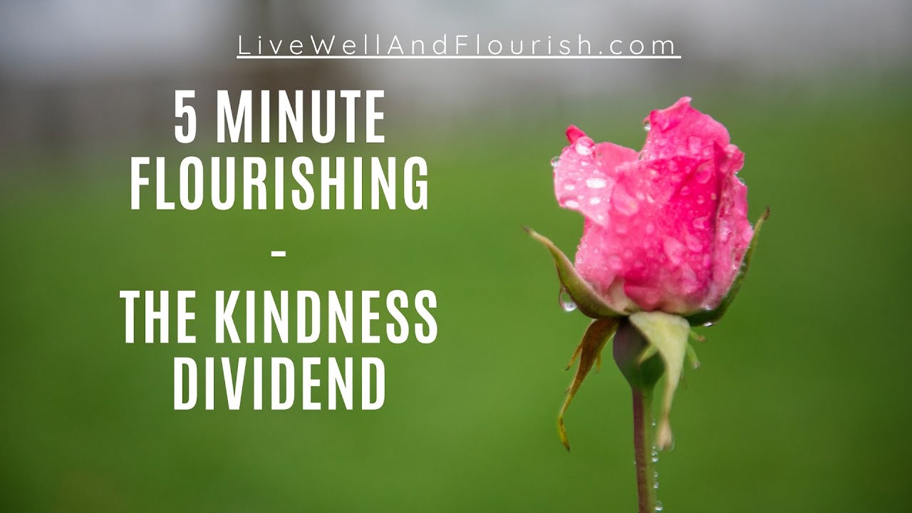 The Kindness Dividend (5MF)