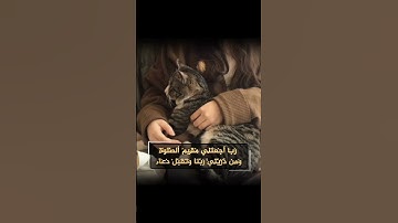 #تلاوة_خاشعة #راحة_نفسية #fyp #foryou #foryoupage #اللهم_صل_وسلم_على_نبينا_محمد #الحمدلله #المصحف