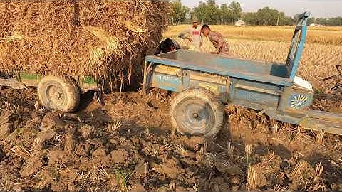 The little boy driving minipower tiller Skill | Most Dangerous Roads Driving Video with Power tiller