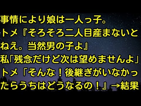 【スカッとする話】事情により娘は一人っ子。トメ『そろそろ二人目産まないとねえ。当然男の子よ』私「残念だけど次は望めませんよ」 トメ「そんな！後継ぎがいなかったらうちはどうなるの！！』→結果・・・
