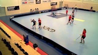Träningsmatch 150425 Lindås Waves IBK - Sonelaget Oslo - Åkershus - Østfold (5-5) HD Per 2