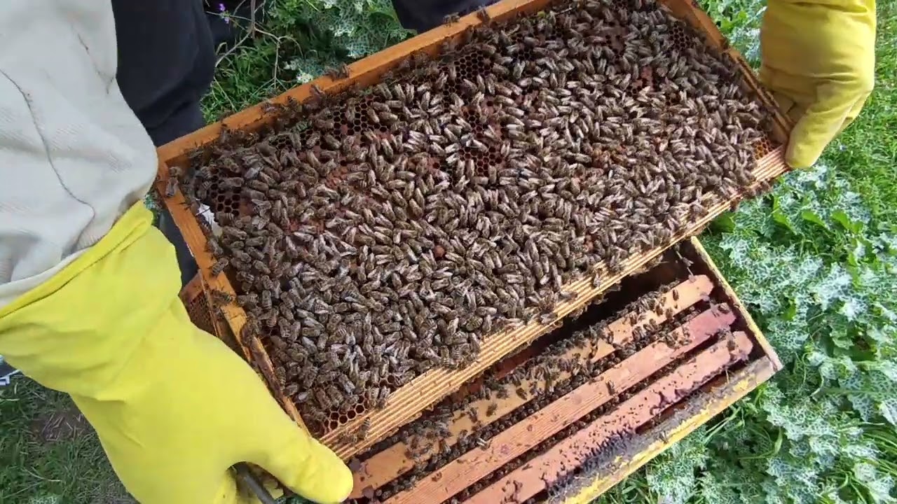 6 Απριλίου 2025