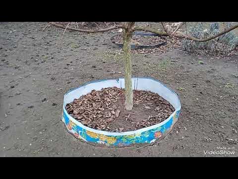 Бордюрная лента в саду,огороде. Плюсы и минусы - YouTube