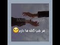 زان طره به پاي دل تا سلسله ها دارم رباب مصطفی درویش تشکر از حمایت شما عزیزان mp3