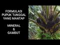 Dosis pupuk tunggal usia tm untuk lahan mineral dan gambutkopiinspirasi8193