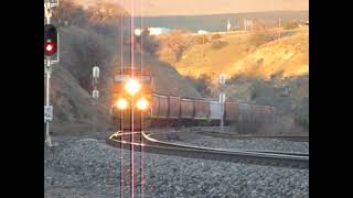 BNSF unit grain train at Cable, CA