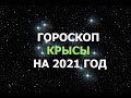 Гороскоп на 2021 год для Крысы