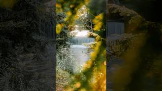 How to capture a waterfall like this