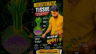 Meristematic Tissue Complete Explanation #shorts #viral #explore
