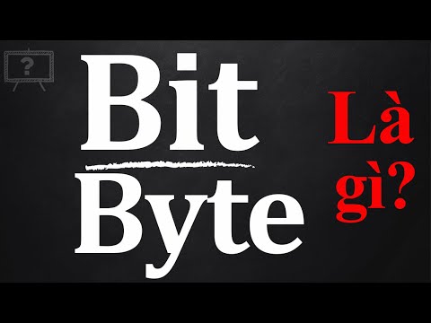 Video: Có bao nhiêu trạng thái thông tin của byte có thể biểu diễn?