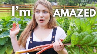 Huge Spring Harvest ALREADY!? Spring Vegetable Garden 2023 l Zone 9B