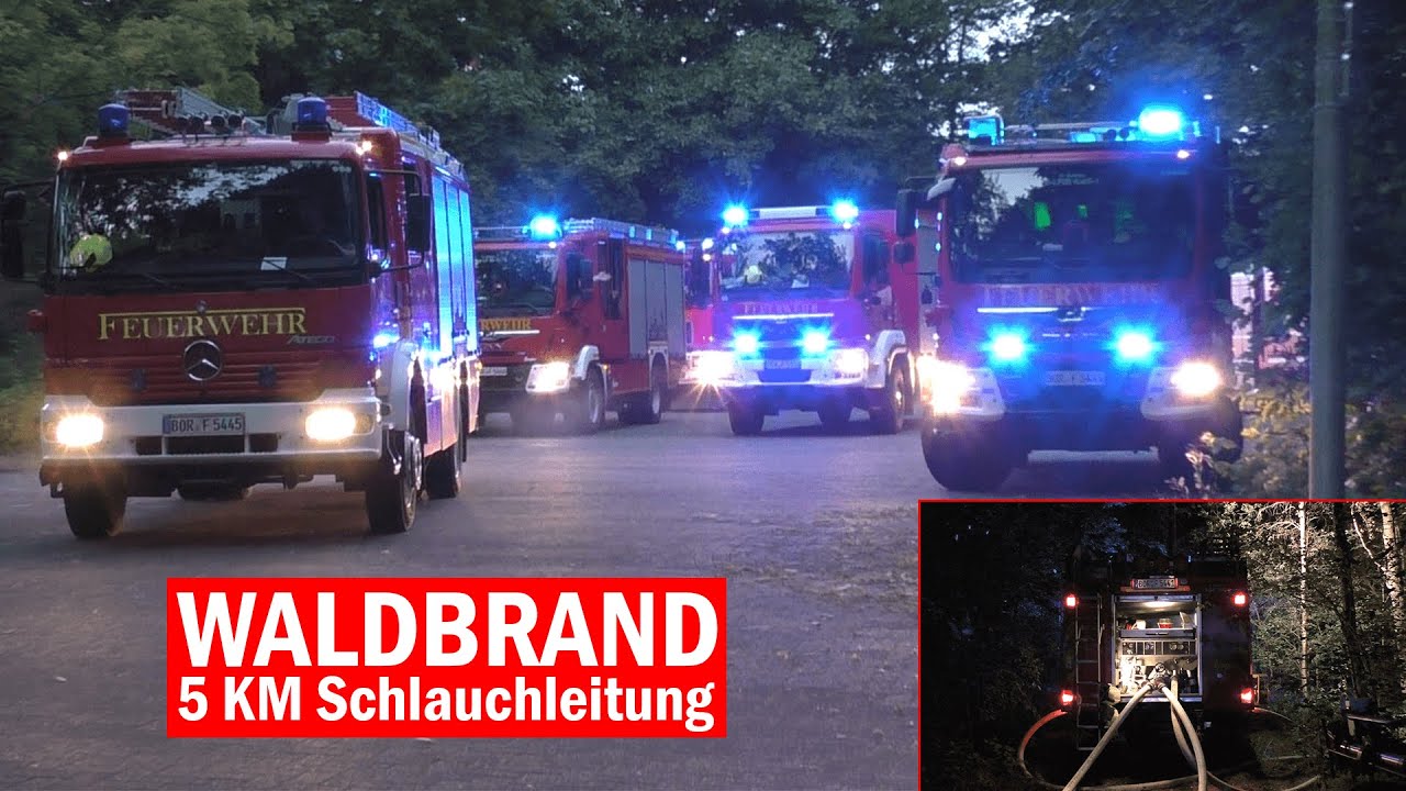 [Waldbrand] Feuer in Grenzregion | Feuerwehren und THW im Einsatz