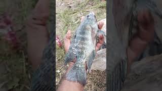Khatarnak fishing 🎣