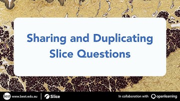 Sharing and Duplicating Slice Questions