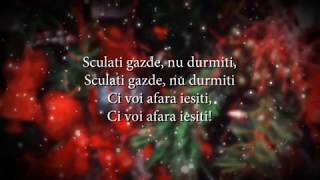 Video thumbnail of "Stefan Hrusca - Sculati gazde (versuri, lyrics, karaoke)"