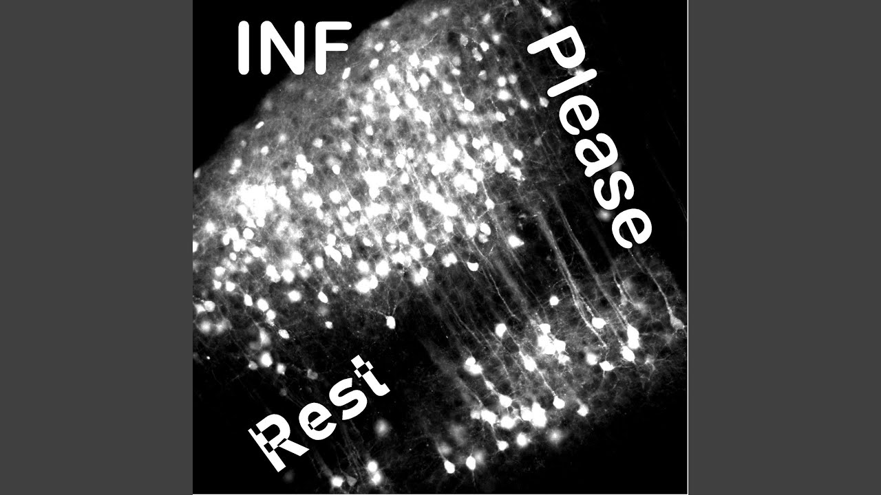 Watch Ingest on YouTube Watch Ingest on YouTube