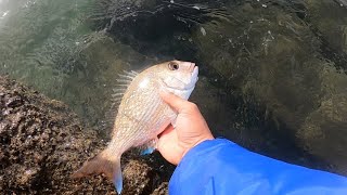 Tara Fishing | Wednesday Fishing