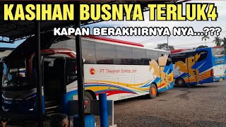 Download Lagu 🔥BUS SUMBAR KEMBALI TERLUK4 ‼️KAPAM BERAKHIRNYA ATLIT LEMPAR LINTAS SUMATERA MP3 Download Lagu 🔥BUS SUMBAR KEMBALI TERLUK4 ‼️KAPAM BERAKHIRNYA ATLIT LEMPAR LINTAS SUMATERA MP3