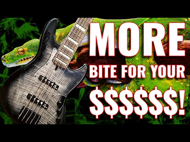 Anaconda Ultra J Essence vs Jazz Bass: No Competition - YouTube