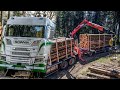 Scania r650 v8   porteur  remorque friederich transports holtz