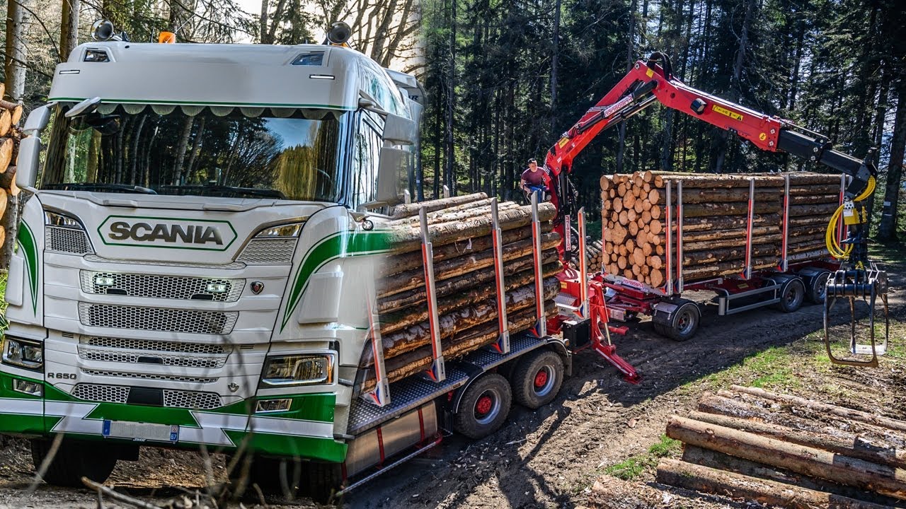 SCANIA R650 V8 🚚💨 🌲 PORTEUR + REMORQUE FRIEDERICH (TRANSPORTS HOLTZ)